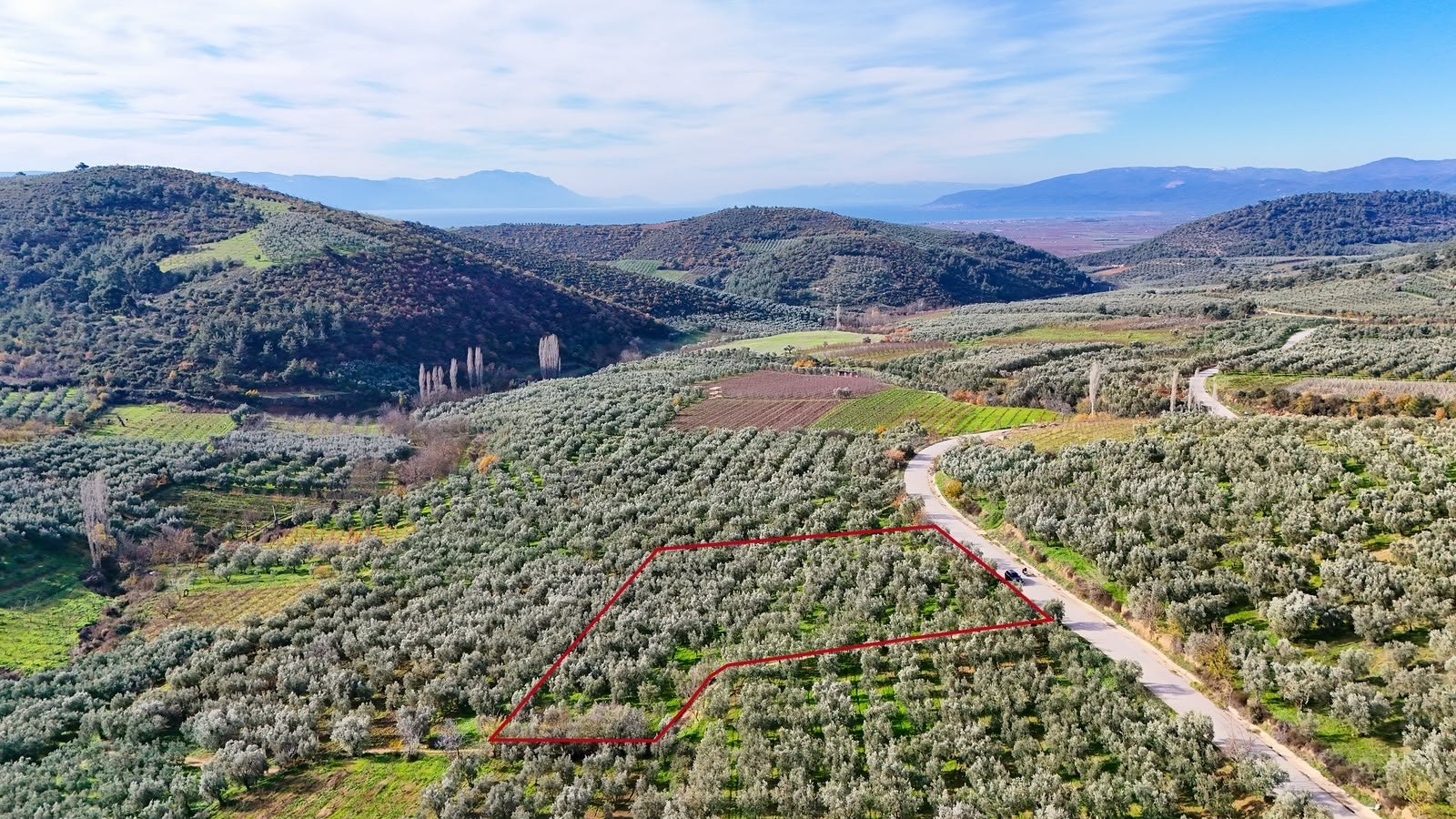 İznik Hisardere Kavaklar mevkii bakımlı zeytinlik ve bağ, ada 916 parsel 14