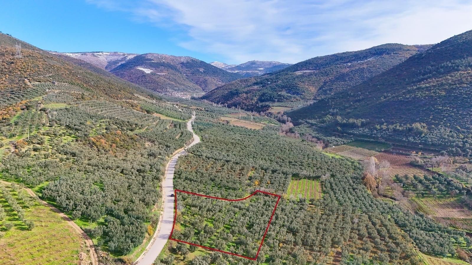 İznik Hisardere Kavaklar mevkii bakımlı zeytinlik ve bağ, ada 916 parsel 14